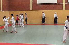 Aikido 10-17 jr in Almere-Stad Centrum