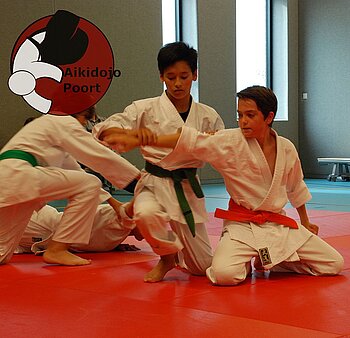 Illustratie bij Aikido in Almere Poort - Tieners