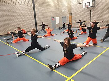 Illustratie bij Shaolin Kung Fu Almere