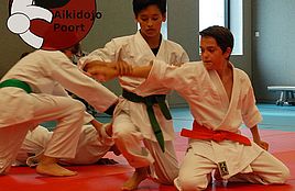 Aikido in Almere Poort - Tieners