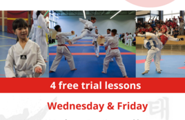 Taekwondo Academy Almere - Advanced, beginners 14+ years old and adults